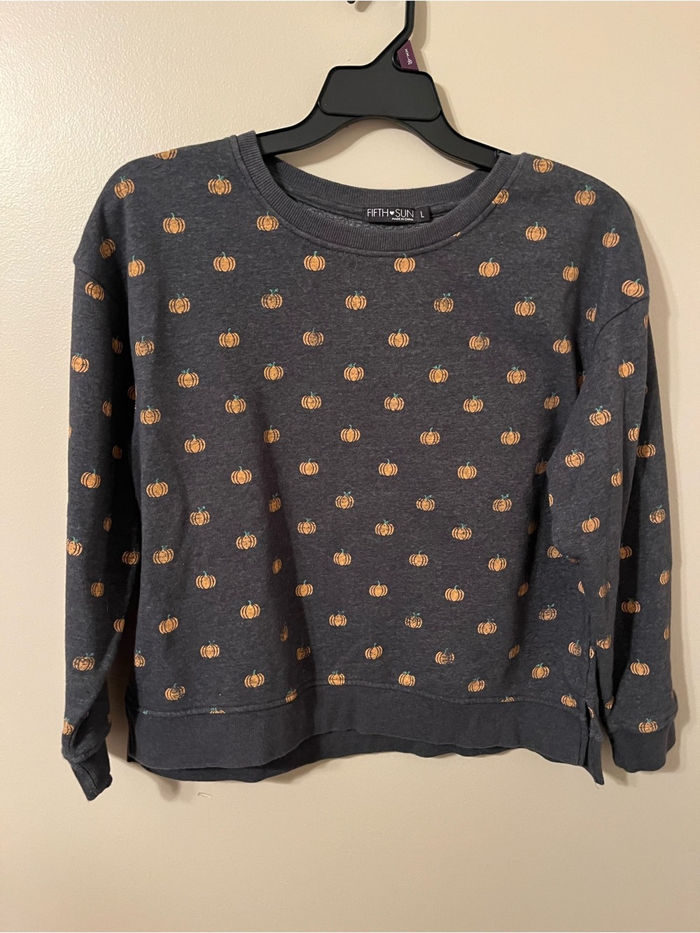 Fifth Sun sweatshirt